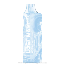 LOST MARY bm 3500 ár elveszett Mary mo5000 NFR412 fekete ribizli menta